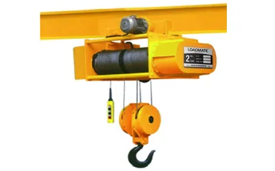 Chain Hoists Manufacturer